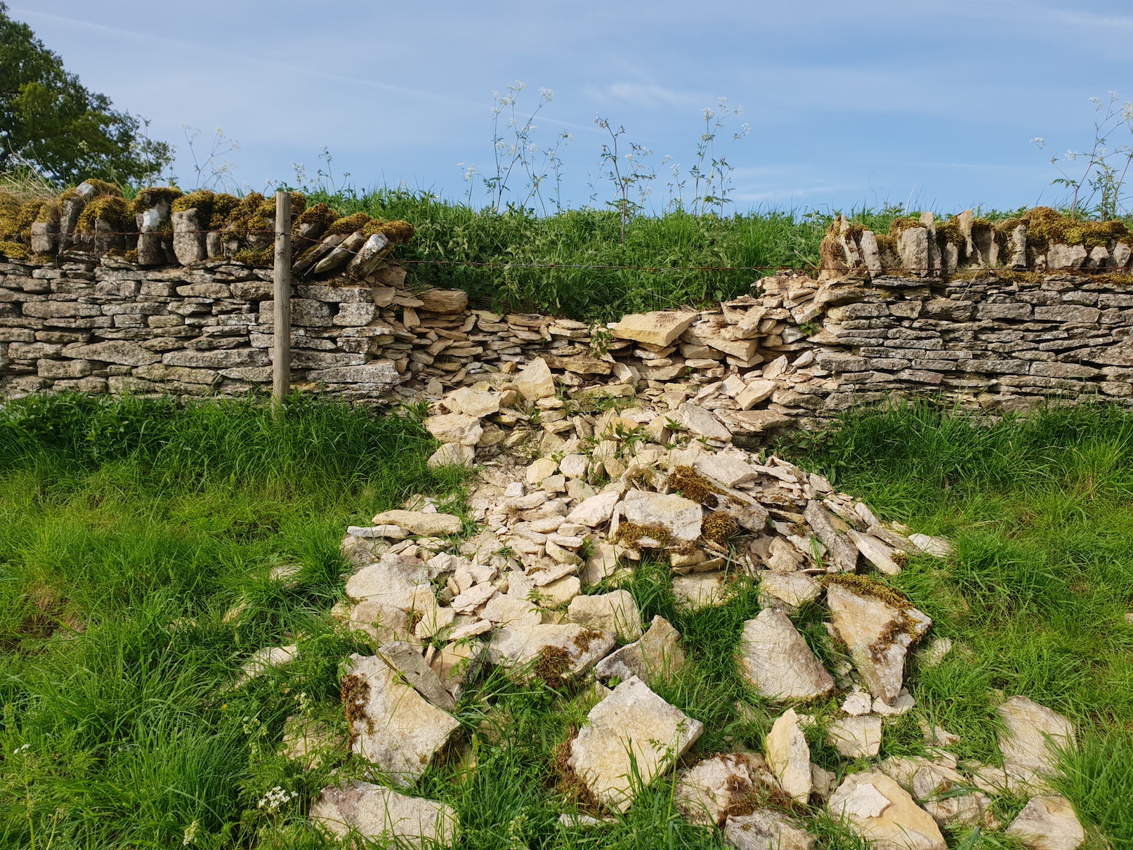 Collapsed wall in Swinbrook.